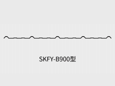 SKFY-B900